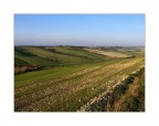673 - Campagna nel Pisano 673 - Campagna nel Pisano
