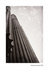 Metropolis Metropolis