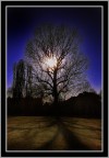 Luci e ombre Luci e ombre