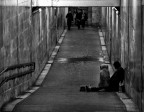 ...speriamo...( nel prossimo ) ...speriamo...( nel prossimo )
