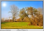 Savana Lombarda Savana Lombarda