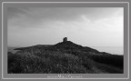 ...tharros...