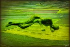 Madre Terra Madre Terra