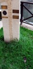 Monumento ai caduti Monumento ai caduti