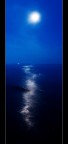 Vertical Moon Vertical Moon