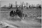 Agricoltura Agricoltura