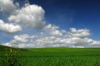 Windows XP Windows XP