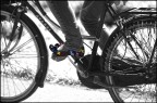Eleganza in bicicletta Eleganza in bicicletta