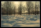 rigido inverno rigido inverno