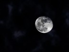 Dillo alla Luna Dillo alla Luna
