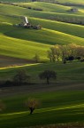 Colline marchigiane Colline marchigiane