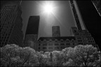 NYC NYC