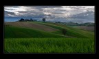 aprile in collina aprile in collina