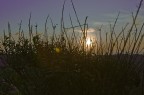 Alba salentina Alba salentina