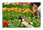 Fotografi e Fiori Fotografi e Fiori