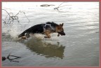 divertimento.... in acqua divertimento.... in acqua