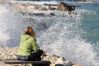 guardando la "forza" della natura guardando la "forza" della natura