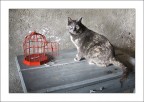 Scusa, hai visto Titti ? Scusa, hai visto Titti ?