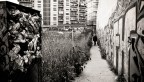 Urban Jungle Urban Jungle