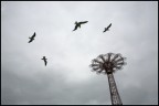 Coney Island - NY Coney Island - NY