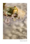 La Sostanza dei Sogni La Sostanza dei Sogni