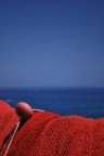 ritorno dal blu ritorno dal blu