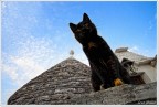 LA SFINGE DEI TRULLI LA SFINGE DEI TRULLI