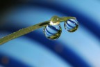 nel blu nel blu