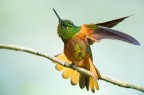 Ecuador, Mindo