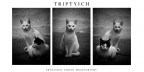 Trittico Trittico