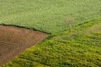 Paesaggio Paesaggio