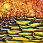 Canon EOS 400D
1/250
f/5.6
55mm
iso 200