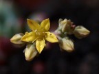 macro test macro test