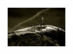 ... ...