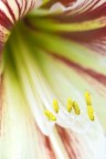 prove macro 2 prove macro 2