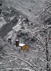 La chiesa tra i monti( versione invernale )