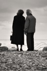 Giovane Amore Giovane Amore