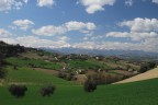 Viva le Marche! Viva le Marche!