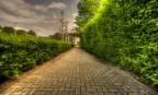 a passeggio con i miei pensieri a passeggio con i miei pensieri