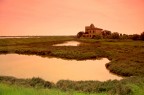 Delta del Po Delta del Po