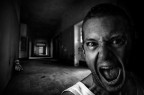 the mad the mad