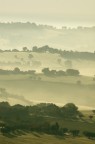 Nebbiolina di primo mattino Nebbiolina di primo mattino