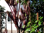 E' PRIMAVERA E' PRIMAVERA