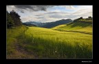 Luce sulle colline Luce sulle colline