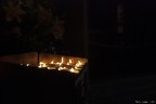 Lumi Lumi