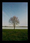 Solitario Solitario