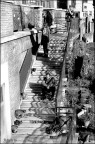 Domenica mattina Domenica mattina
