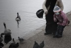 Play With Me. Play With Me.