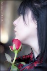 Rose Rose
