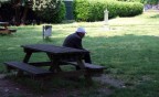 Solitudine Solitudine